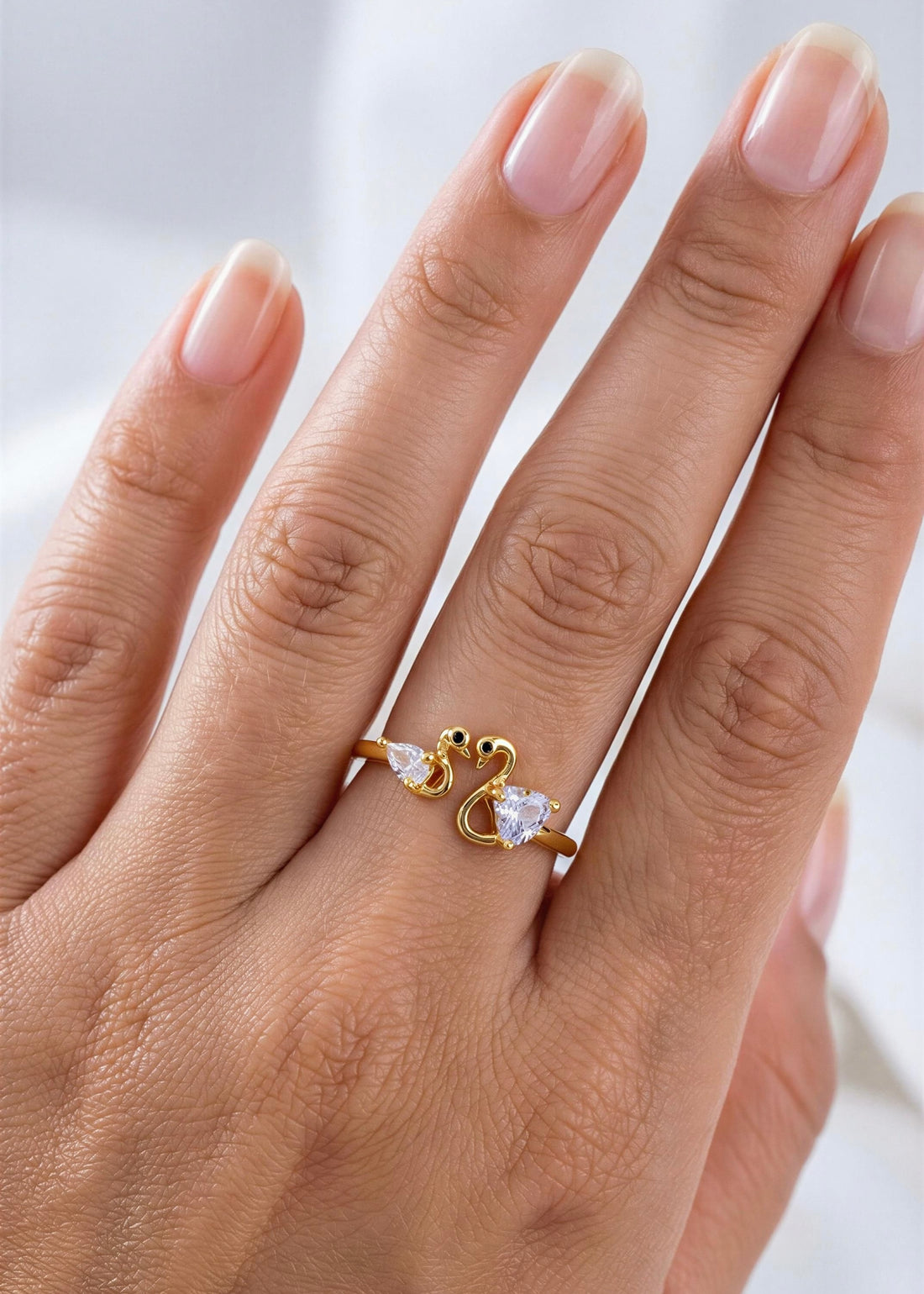 Anillo Cisnes