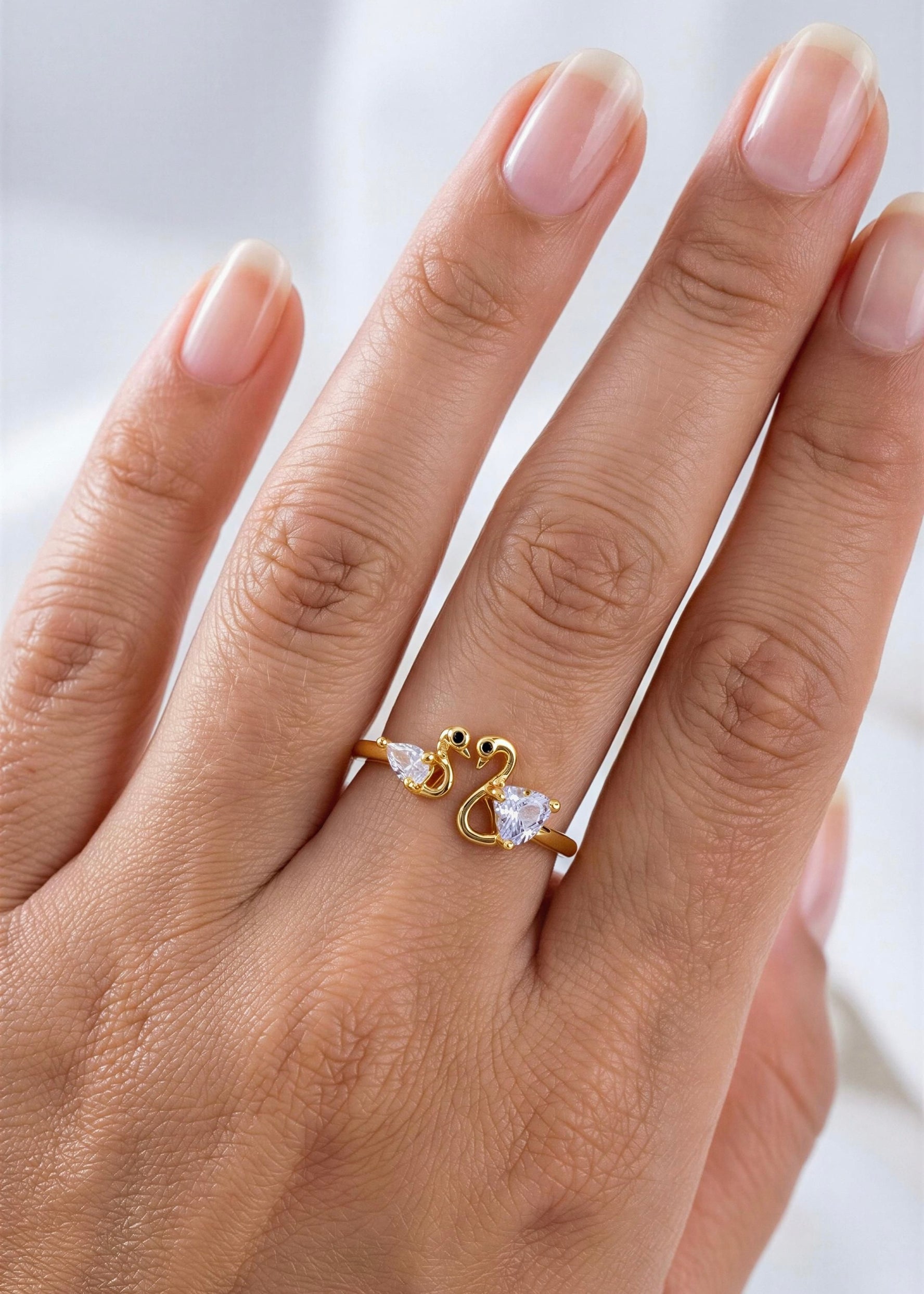 Anillo Cisnes