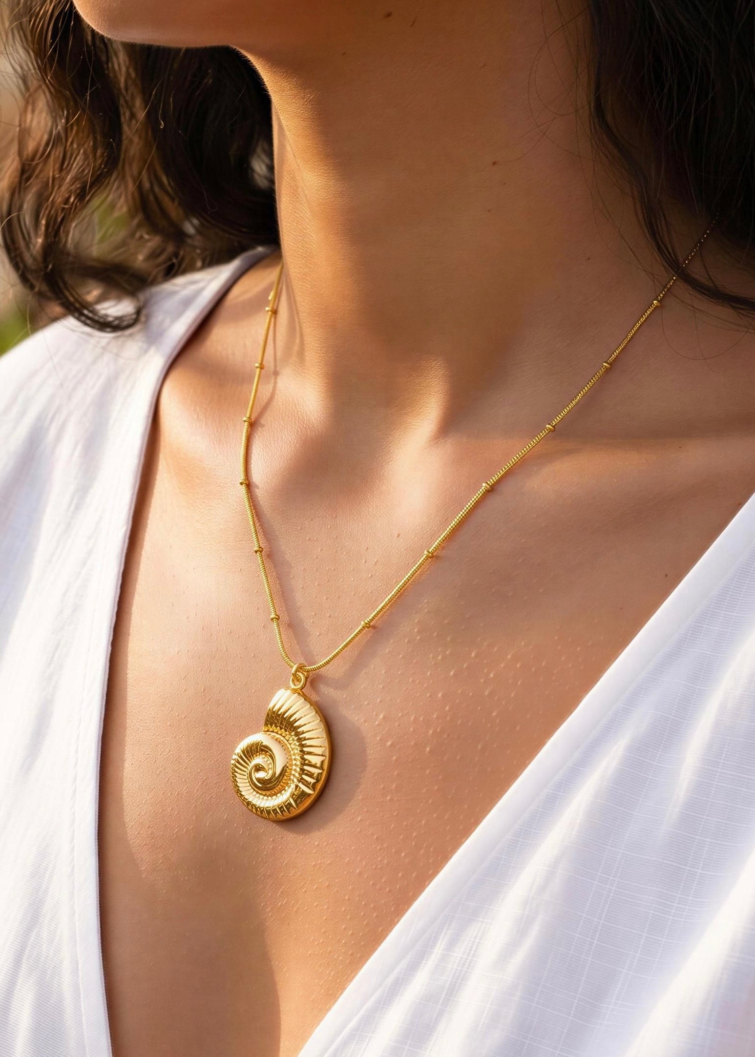 Collar Nautilus