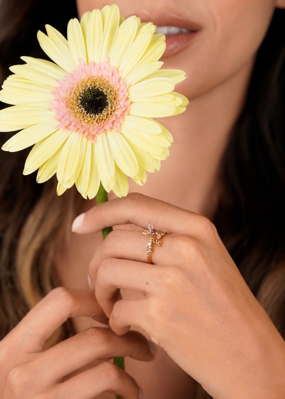 Anillo Jardín
