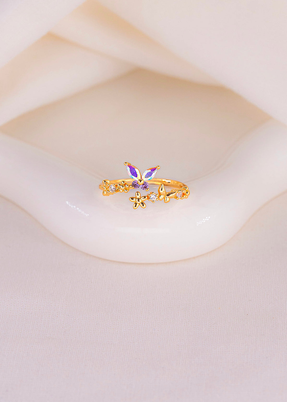 Anillo Jardín