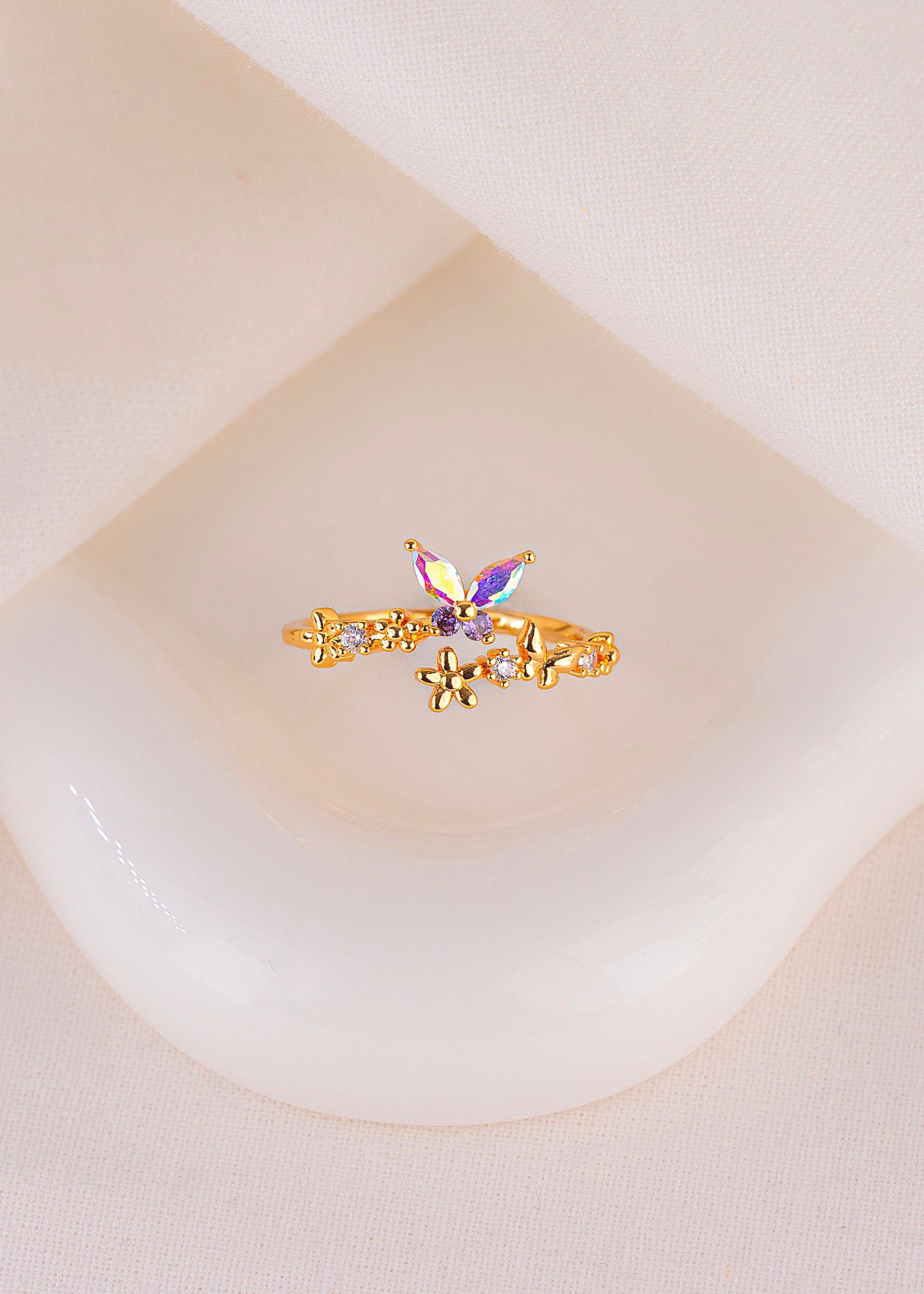 Anillo Jardín