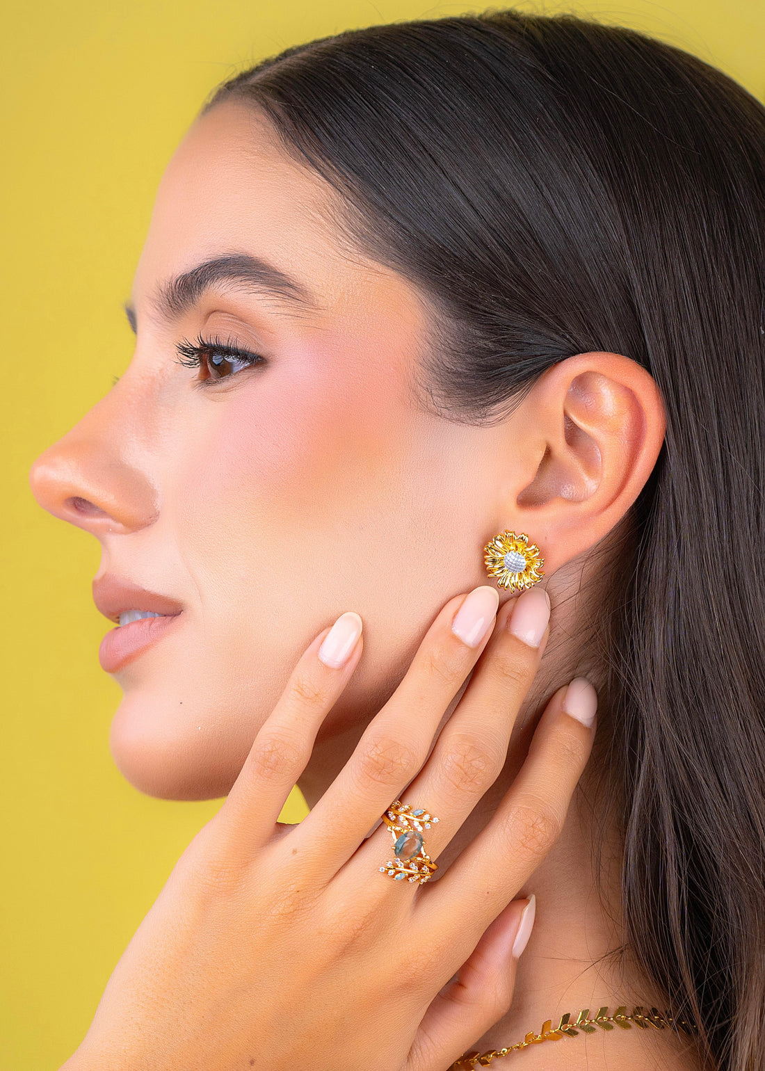 Anillo Narela