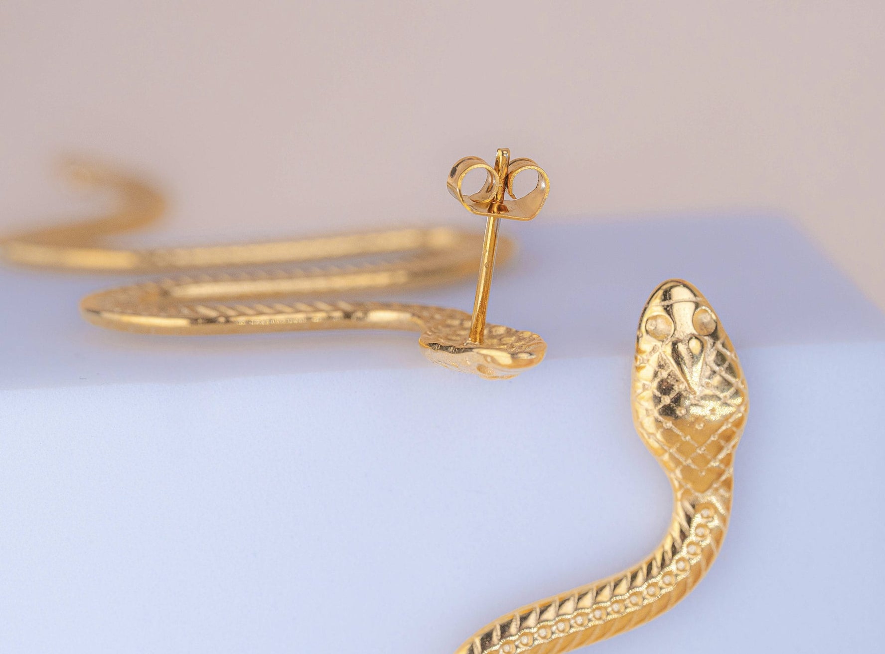 Aretes Maxi Serpientes Ref: B3002