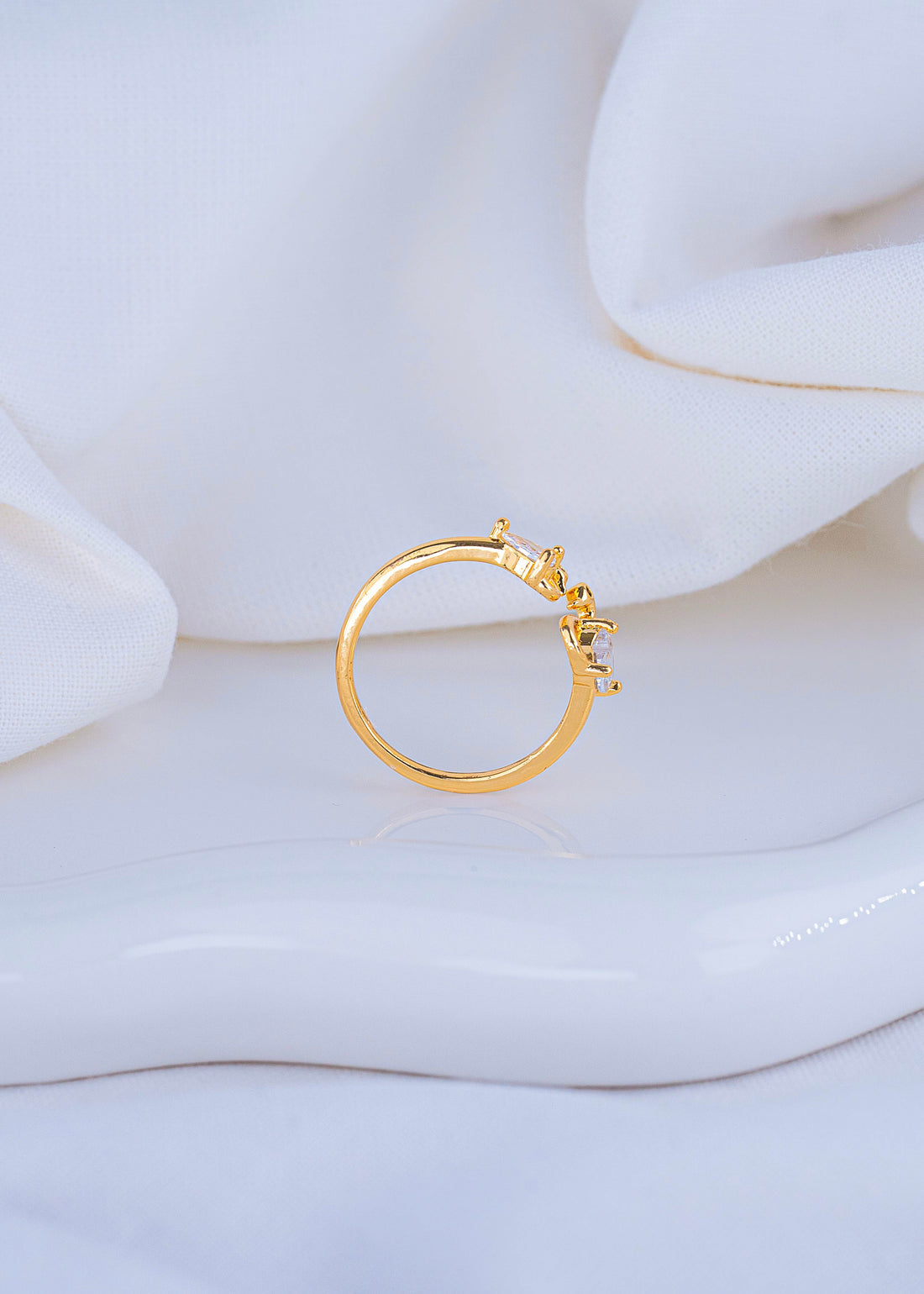 Anillo Cisnes