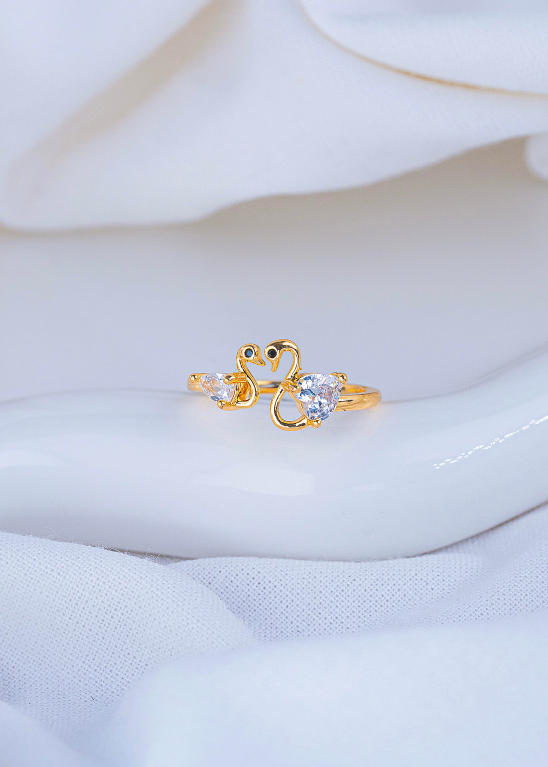 Anillo Cisnes