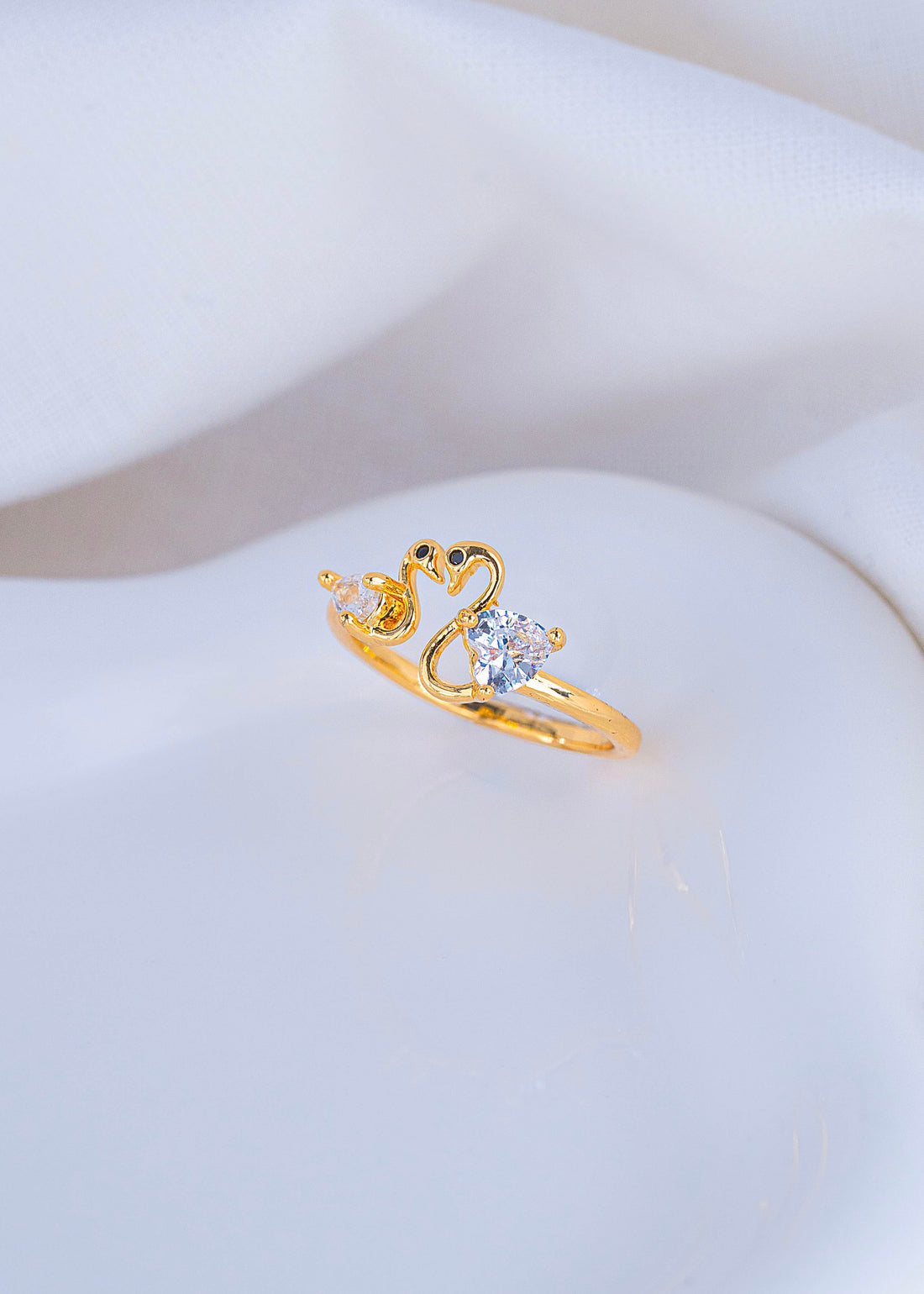 Anillo Cisnes