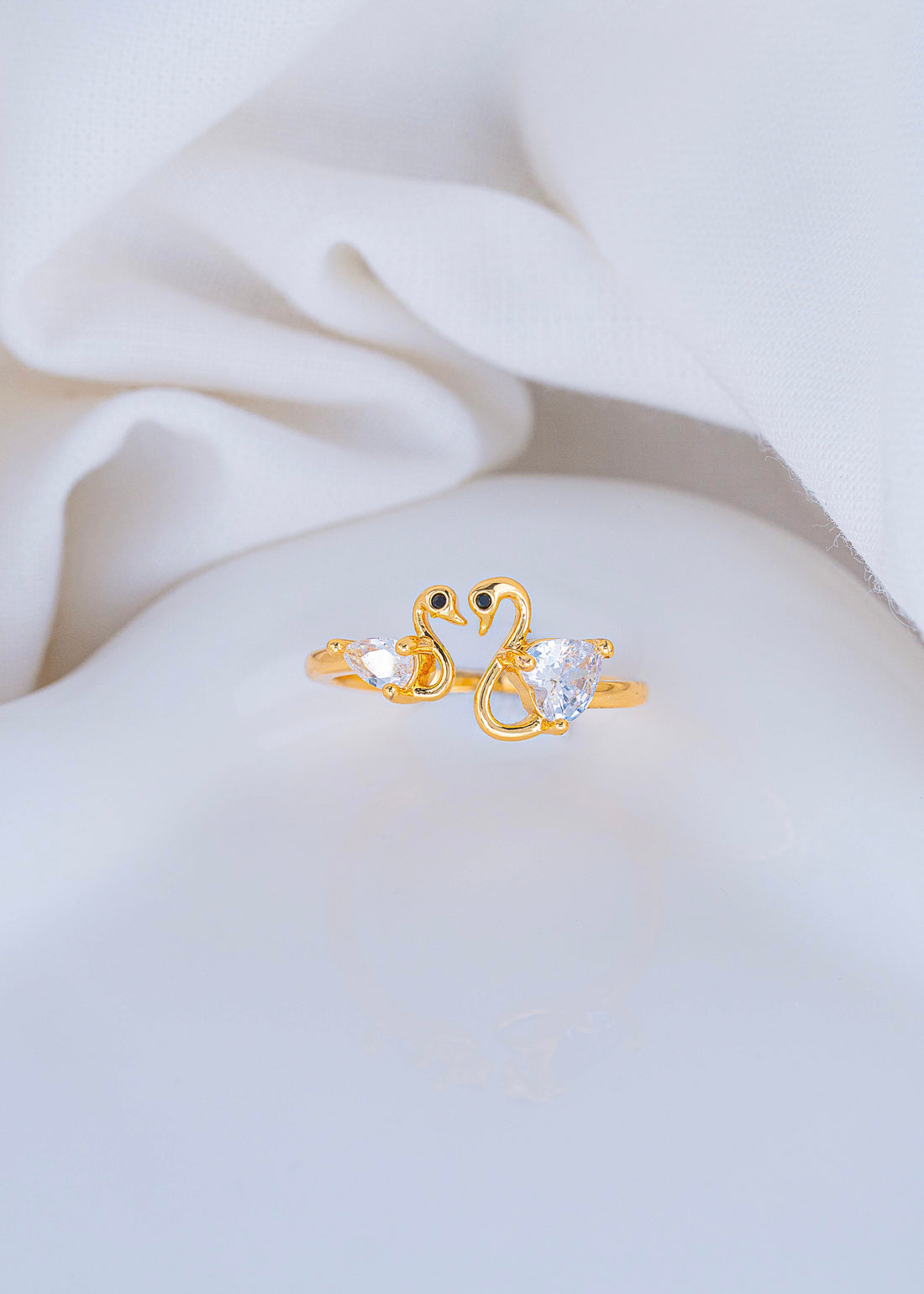 Anillo Cisnes